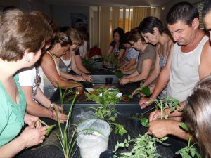 Recrea_en_verde_-_Jardinerxa