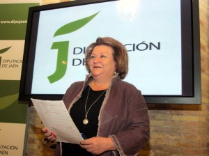 La vicepresidenta de la Diputación ha dado a conocer los principales asuntos que se van a llevar al próximo pleno.