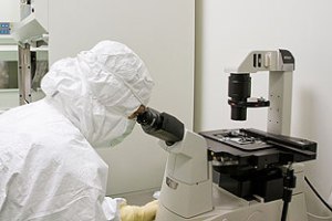 Trabajos de investigación.