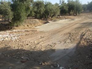 Camino rural en la comarca de Andújar.