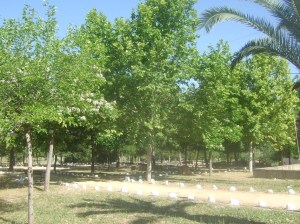 pilarnuevoparaje2