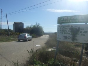 Una carretera en la Comarca de Andújar.