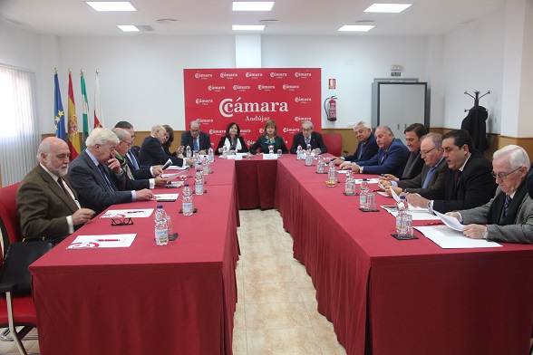 Un aspecto de la sesión plenaria del Consejo Andaluz de Cámaras celebrada en Andújar.