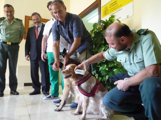 Juan Lillo destaca la eficacia de la colaboración entre la Guardia Civil y los profesionales veterinarios.