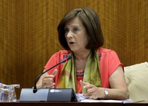 Sánchez Rubio, en comisión parlamentaria. Foto: junta de Andalucía.