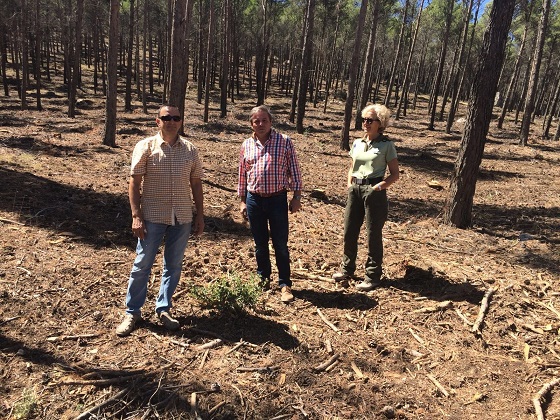 El delegado territorial de Medio Ambiente y Ordenación del Territorio, Juan Eugenio Ortega,  en un momento de su visita al monte de Santa Catalina.