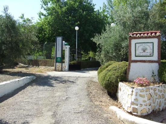 Centro Regional de Rehabilitación de Drogodependientes de Lopera.