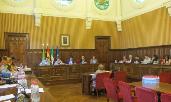 Pleno extraordinario sobre el Debate del estado de la provincia celebrado hoy.