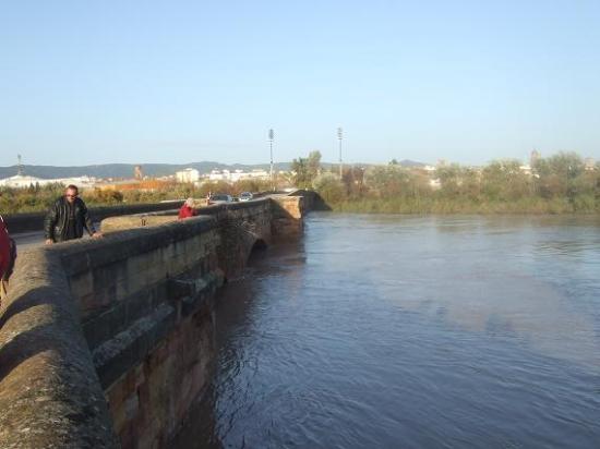 El río Guadalquivir a su paso por el puente romano de Andújar.