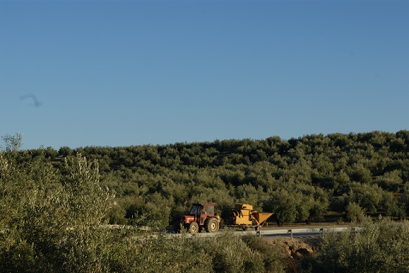 Un vehículo agrícola circula por una carretera de la Comarca de Andújar.