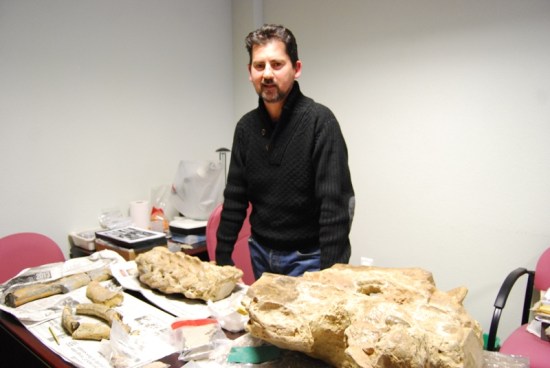 146-vva-reina-restos-fosiles