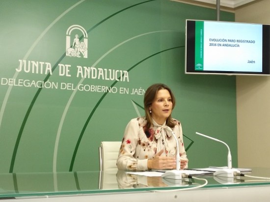 La delegada del Gobierno Andaluz, Ana Cobo, en rueda de prensa.