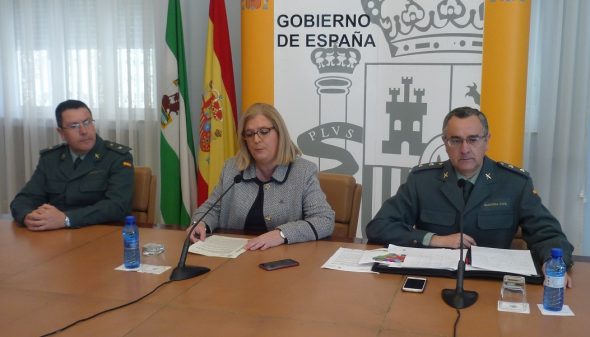 Aceituna sustraida en la campaña