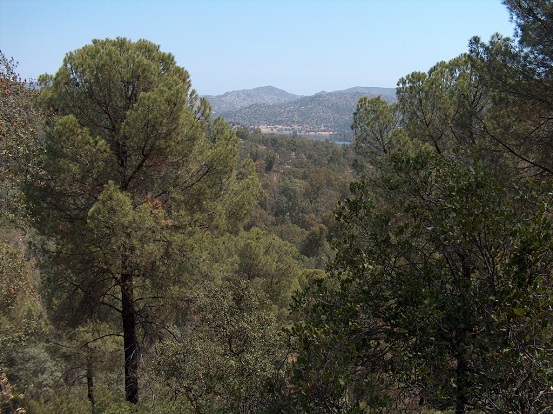 Oferta Pública de Caza en Andalucía