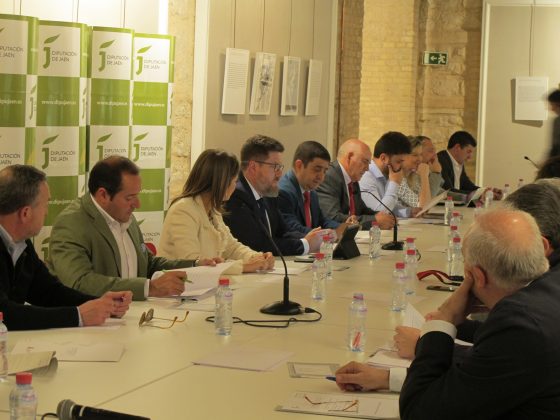 Consejo Provincial del Aceite