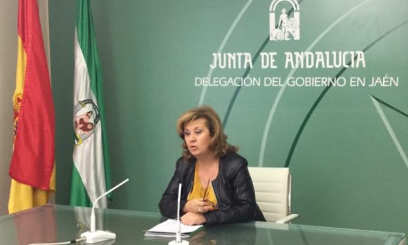 Nuevas áreas de gestión sanitaria para la provincia de Jaén