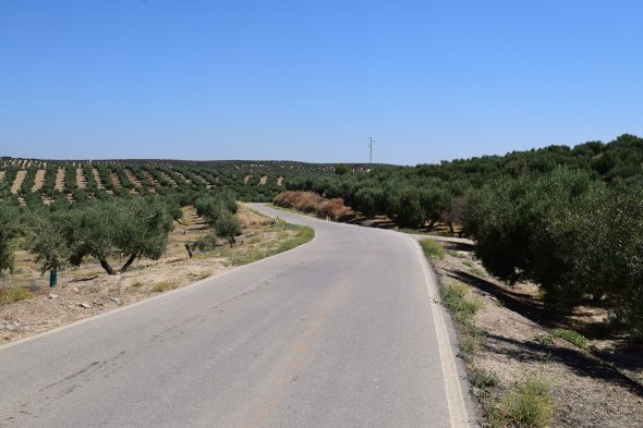 carretera Andújar-Lahiguera