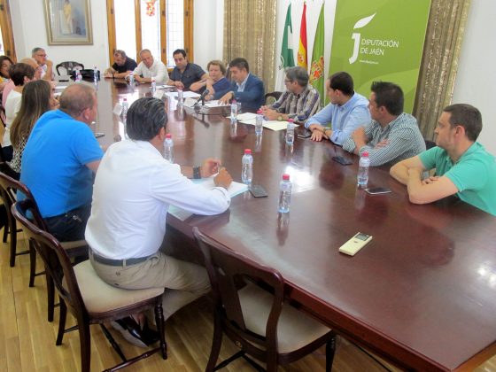 Consejo de Alcaldes y Alcaldesas de la provincia de Jaén