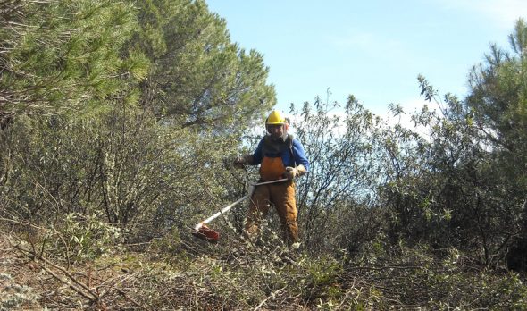 prevención de incendios forestales