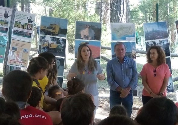 campamentos de verano