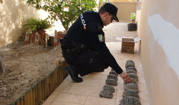 infracciones medioambientales