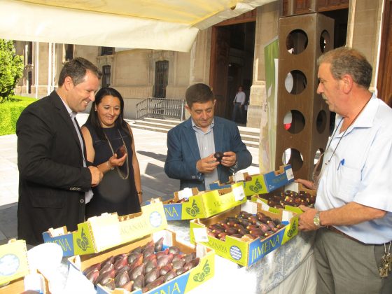 Degusta Jaén