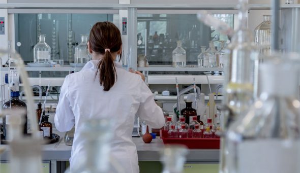 ayudas a la investigación