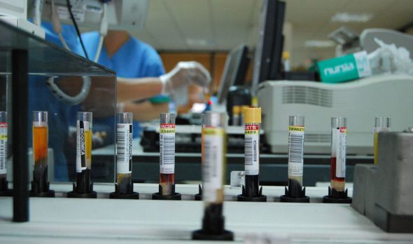 ayudas de investigación