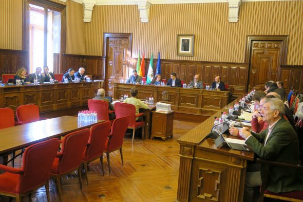 Pleno de la Diputación de Jaén