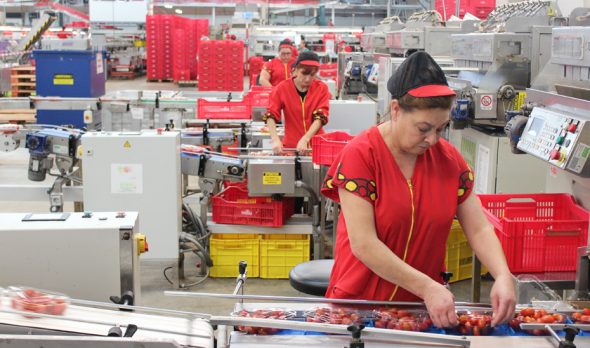 exportaciones andaluzas