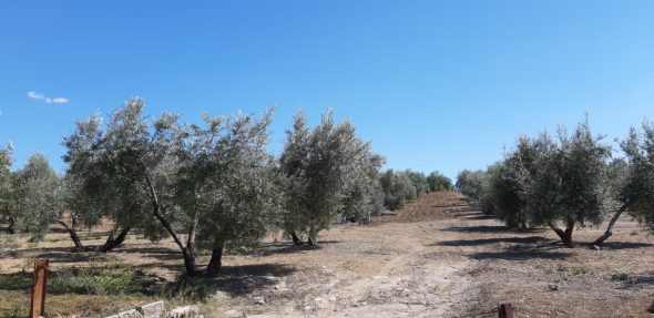 reducción de módulos