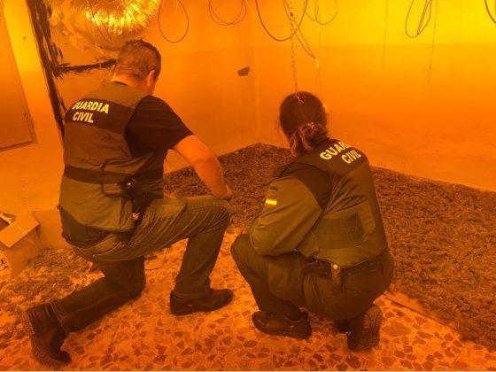 Tráfico de drogas en La Carolina