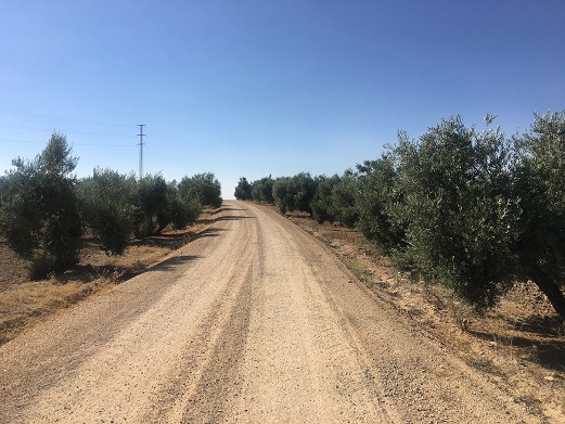 El Ayuntamiento de Andújar reactiva el arreglo de caminos rurales y pone en marcha un plan de desbroce y limpieza de cunetas.