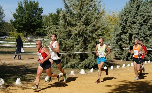 Diputación reanuda sus convocatorias de subvenciones para planes locales de actividades deportivas y culturales.