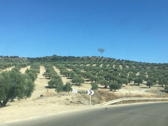 Política Agraria Común