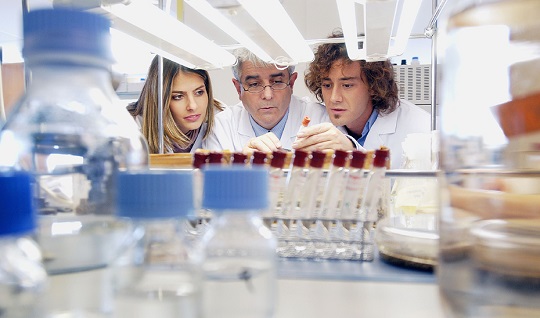 Economía moviliza más de 85 millones en ayudas para la investigación científica y empresarial.