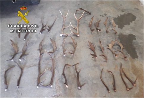 La Guardia Civil detiene a 5 personas por robos en fincas de caza y casas de campo.