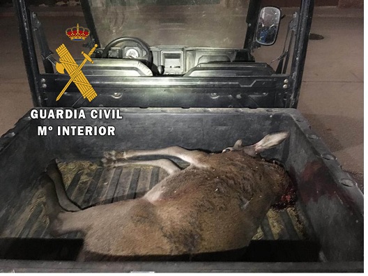 La Guardia Civil abre expediente sancionador a un cazador furtivo en Montizón.