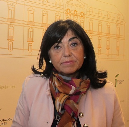 La Diputación pide a la Junta de Andalucía que agilice el pago de la Renta Mínima de Inserción.