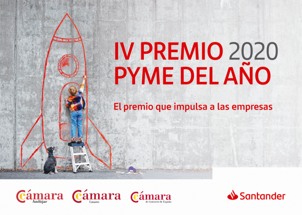 Premio Pyme del Año