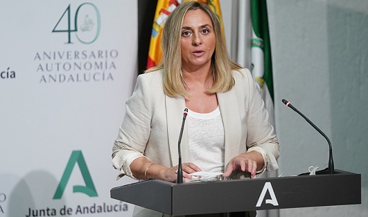 La Junta tiene en curso ocho programas de viviendas por un importe de 230 millones.