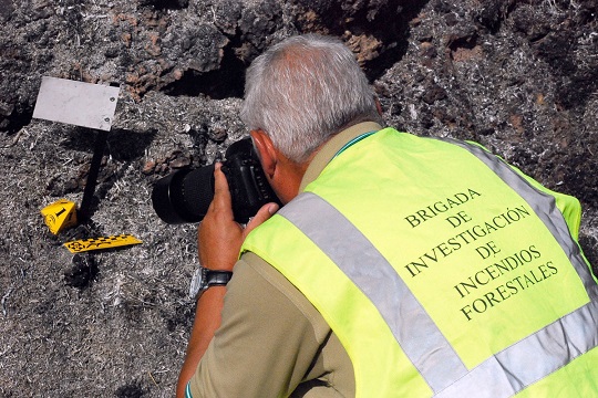 Agricultura forma en apicultura a los agentes de medio ambiente que investigan incendios.