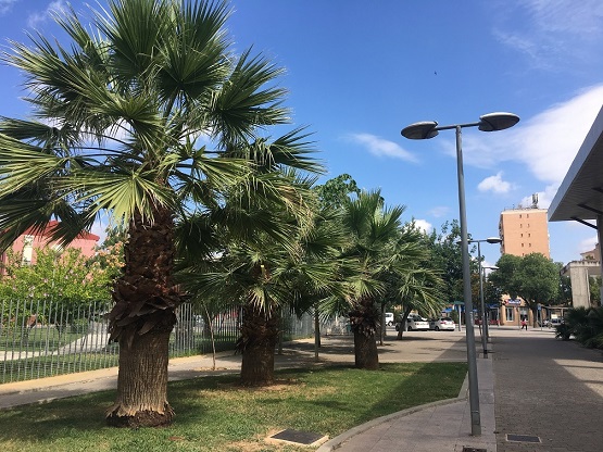 El aviso naranja por altas temperaturas continuará activo el lunes en Córdoba, Granada y Jaén.