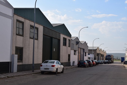 Diputación incentiva que universitarios monten empresas en Jaén con ayudas de hasta 20.000 euros.