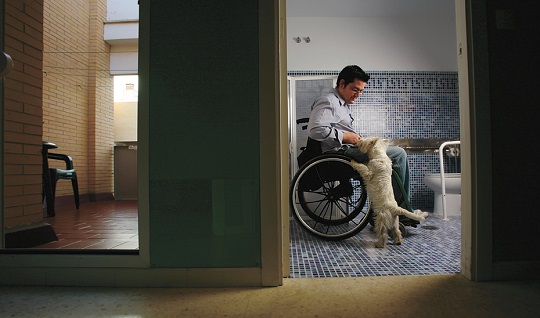 Más de 578.000 personas en Andalucía tienen reconocido al menos un 33% de discapacidad.