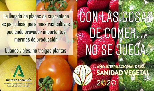 Agricultura inicia la campaña ‘Con las cosas de comer no se juega’ para evitar plagas importadas.