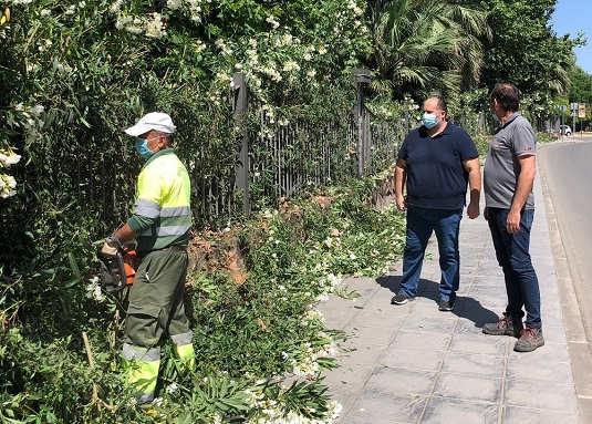La concejalía de Medio Ambiente de Andújar lleva a cabo un estudio sobre el estado de los árboles en zonas infantiles.
