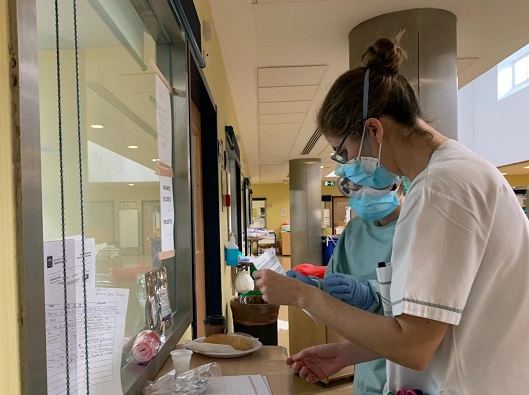 La Agencia Sanitaria Alto Guadalquivir acoge a 122 nuevos profesionales este verano en sus 8 hospitales.
