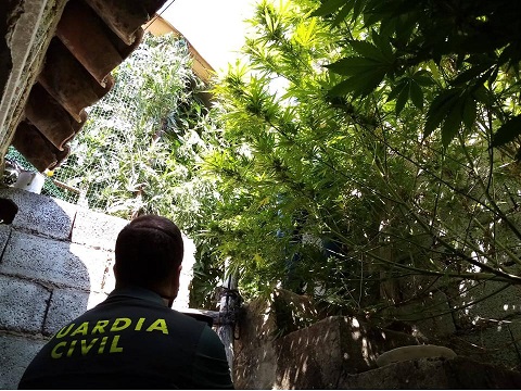 La Guardia Civil desarticula un punto de venta de estupefacientes al menudeo en Santiago de la Espada.