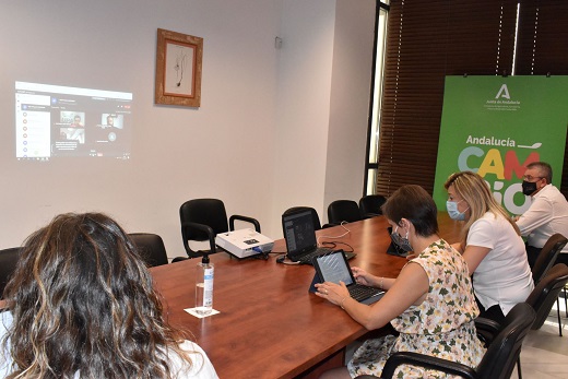Las consejerías de Agricultura y Salud avanzan en el dispositivo para una recolección segura de la aceituna junto con el sector agrícola.